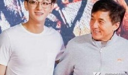 成龙八卦爆料视频,娱乐圈背后的惊人真相与八卦